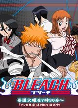 (Bleach)