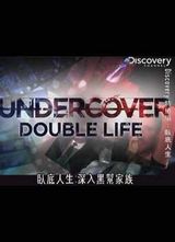 Discovery-Ե