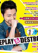 REPLAY & DESTROY