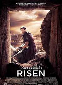  Risen